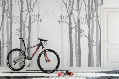 Fototapeta Tło z Brzozowego gaju