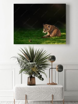 Obrazy do salonu Młody lwiątko w środowisku naturalnym