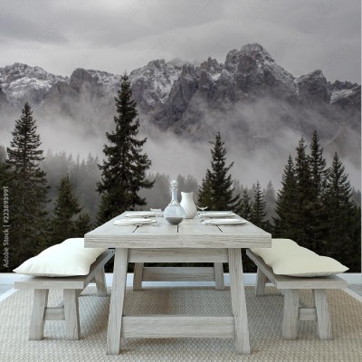 Fototapeta Góry we mgle z lasem na pierwszym planie