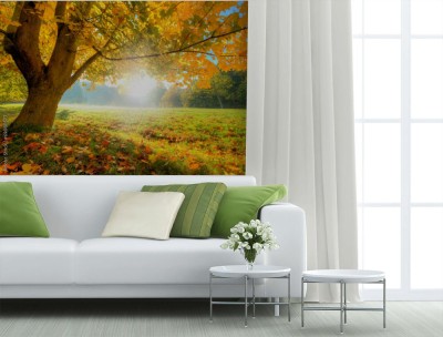 Fototapeta Piękne drzewo i opadłe suche liście