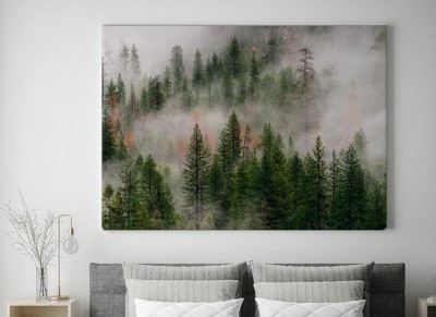 Obraz na płótnie Yosemite we mgle