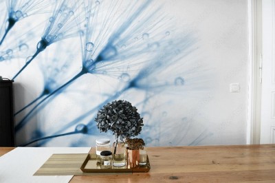 Fototapeta Makro ujęcie błękitnego dmuchawca