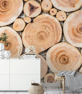 Fototapeta Przekrój poprzeczny pnia brzozy