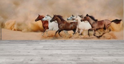 Fototapeta Stado koni galopuje w burzy piaskowej