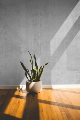 Fototapeta z jasno szarym betonem dekoracyjnym