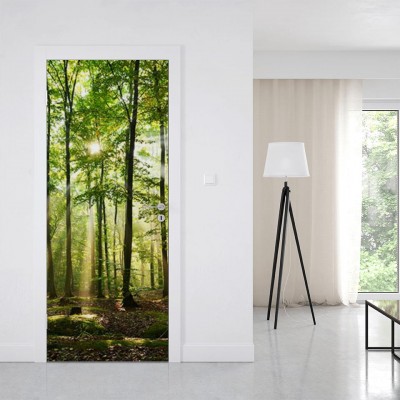 fotolia-57321532-subscription-monthly-l