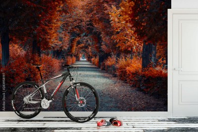 Fototapeta Aleja jesiennych drzew