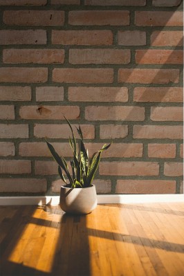 Fototapeta Ceglana ściana z brązowej cegły