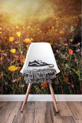 Fototapeta Pole kwiatów w letnim słońcu 