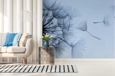 Fototapeta Puszysty dmuchawiec na błękitnym niebie o zmierzchu