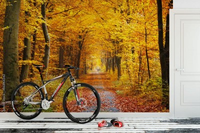 Fototapeta Droga przez Jesienny Las liściasty