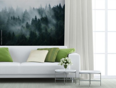 Fototapeta Mglisty krajobraz Jodłowego lasu w stylu retro