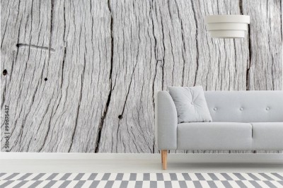 Fototapeta Stary pień drzewa 