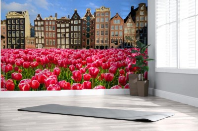 tulipany-z-kanalowymi-domami-w-amsterdamie