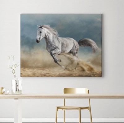 Obrazy do salonu Szary koń galopujący po piaszczystym polu