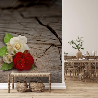 Fototapeta Biała i czerwona róża