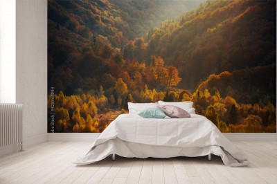 Fototapeta Las o zachodzie słońca późną jesienią