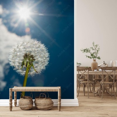 Fototapeta Mniszek lekarski i błękitne niebo