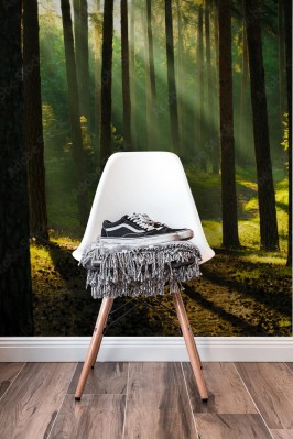 Fototapeta Promienie słoneczne w lesie