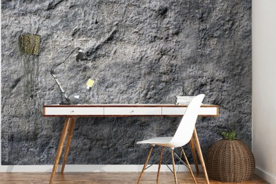 Fototapeta Szarości kamienia