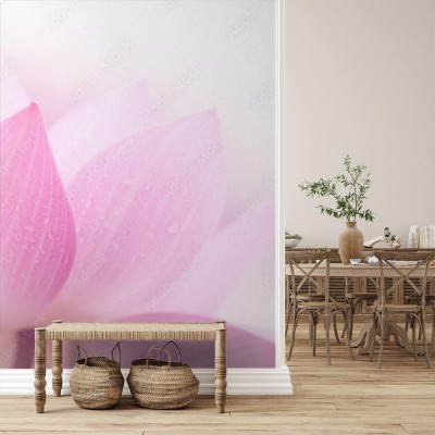 Fototapeta Zbliżenie na płatek lotosu