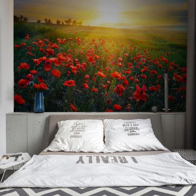 Fototapeta Gdzie zaczyna się dzień