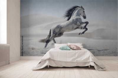 Fototapeta Piękny biały koń na urokliwej pustyni