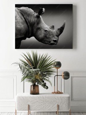 Obraz na płótnie Nosorożec w czarno białym ujęciu