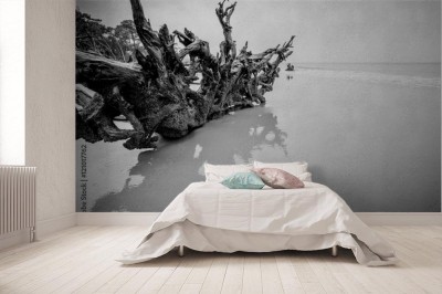 Fototapeta Artystyczne czarno białe zdjęcie