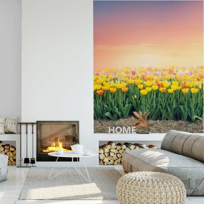 Fototapeta Kolorowe pola tulipanów