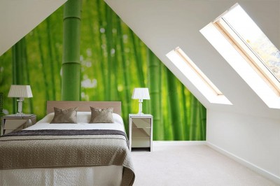 Fototapeta Las Bambusowy