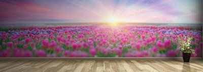 Fototapeta Pole tulipanów w Czerniowcach