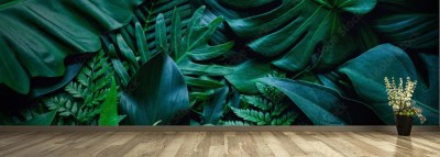 Fototapeta Tropikalne tło z zielonych liści