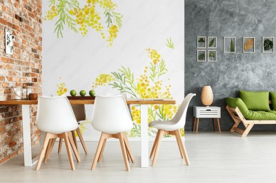 Fototapeta Żółta mimoza