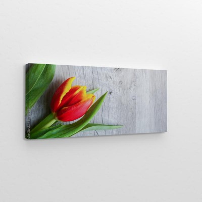 czerwono-zolty-tulipan-na-drewnianym-tle