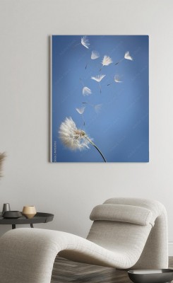 Obraz na płótnie Dmuchawiec na letnim wietrze