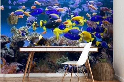 Fototapeta Akwarium z rybami