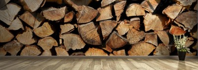 Fototapeta Drewno kominkowe w ujęciu horyzontalnym
