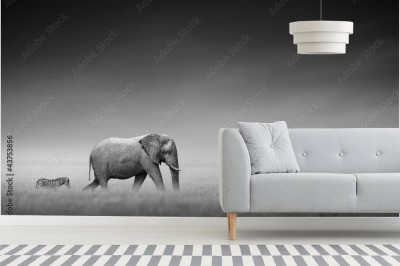 Fototapeta Słoń i zebra