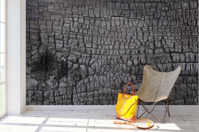 Fototapeta Spalone drewno - tło minimalistyczne