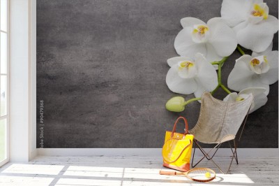 Fototapeta Biała orchidea na szarym tle