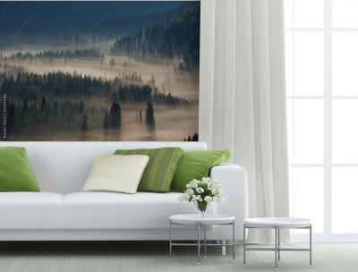 Fototapeta Wędrująca mgła