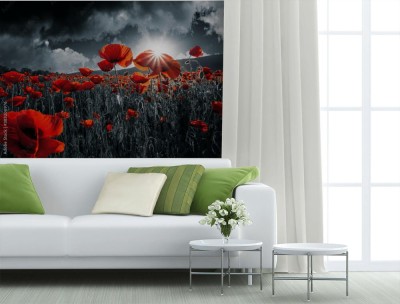 Fototapeta z czerwonym makiem na tle czarno białego krajobrazu