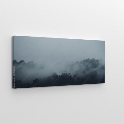 Obraz na płótnie Las tropikalny w ciemnej mgle