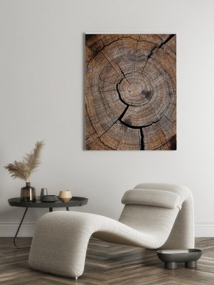 Obrazy do salonu Stare tekstury drewna