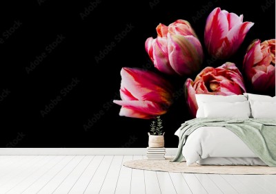 bukiet-jasnych-glow-kwitnacych-tulipanowych-kwiatow-rozu-na-czarnym-tle