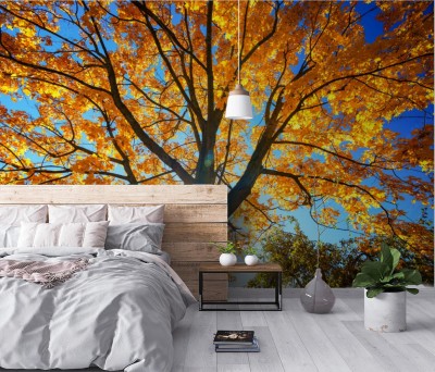 Fototapeta Drzewo nad niebieskim niebem