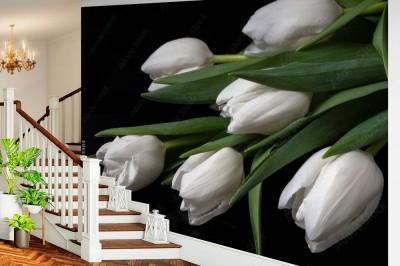 Fototapeta Eleganckie białe tulipany na czarnym tle