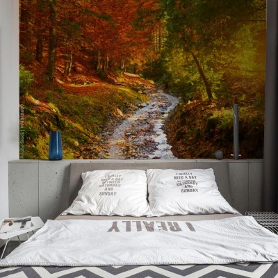 Fototapeta Strumyk w jesiennym lesie