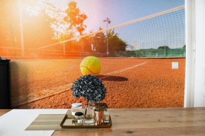 Fototapeta Zbliżenie piłki tenisowej i siatki na korcie